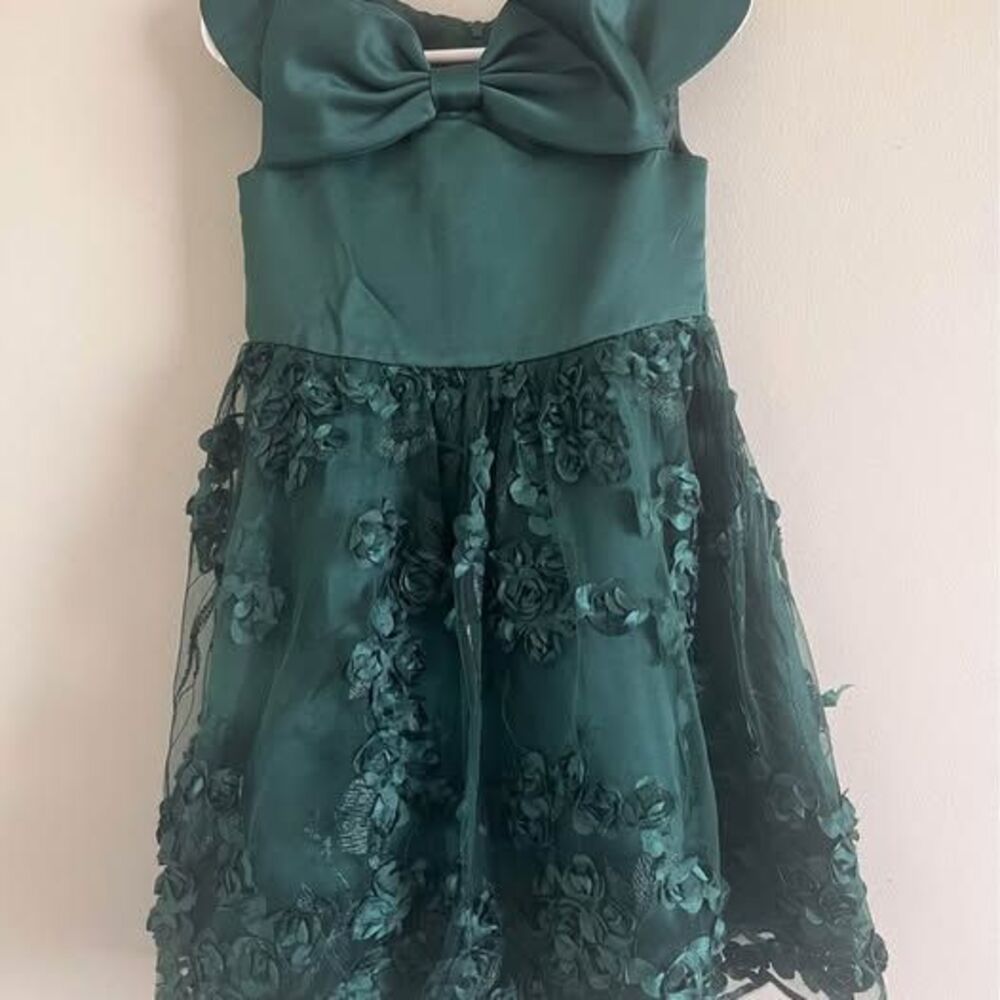 Rare editions 3t toddler green floral birthday party dress